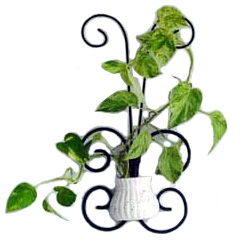 Artsteel Flower Holder wfs01